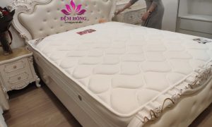 Kho đệm lò xo Techwood chất lượng cao