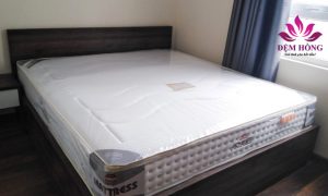 Nơi cung cấp đệm lò xo Acness chính hãng