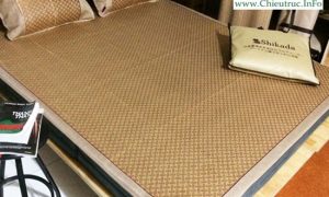 Chiếu mây shikada Nhật Bản