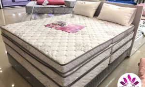Đệm Sông Hồng siêu nảy thế hệ 3 bông tinh khiết kháng khuẩn