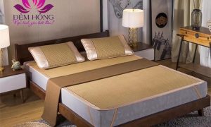 Mẫu chiếu mây Shikada Nhật Bản 3D chất lượng cao