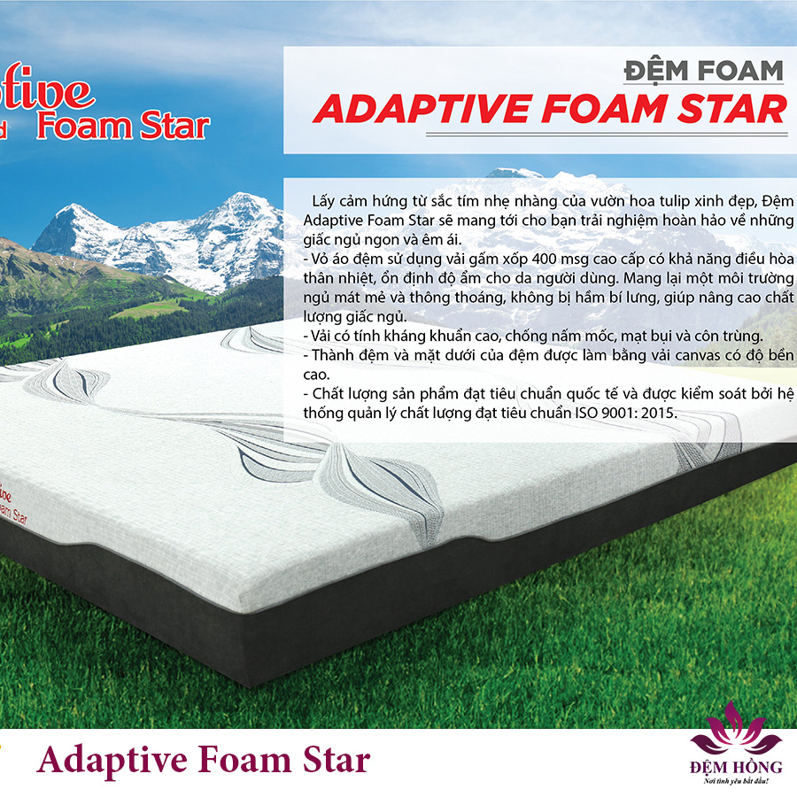 Nơi cung cấp nệm foam memory dòng massage thương hiệu Adaptive Star